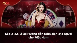 Kèo 2-2.5 là gì: Hướng dẫn toàn diện cho người chơi Việt Nam