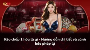 Kèo chấp 1 hòa là gì – Hướng dẫn chi tiết và cảnh báo pháp lý