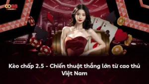 Kèo chấp 2.5 – Chiến thuật thắng lớn từ cao thủ Việt Nam
